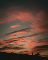 Pink orange cotton candy sunset
