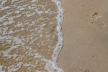 Close-up of sea foam on the sand beach with summer sunlight