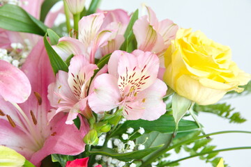 Obraz premium Bouquet of light pink flowers of Lily, Peruvian lily, Alstroemeria 
