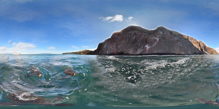 Galapagos - Punta Vicente Roca - Isabela Island