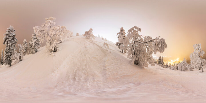 Trees on the slope of mountain Pyh&auml; in winter
