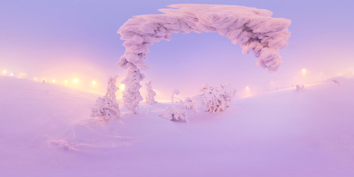 Fir-tree in frost on the top of mountain Pyh&auml;