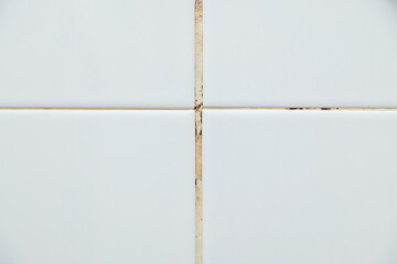 Closeup of the fungus stains on the white grout on the white wall tile.