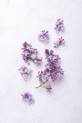 Beautiful flower background with lilac flowers and green leaves. Mothers day, womens day concept....