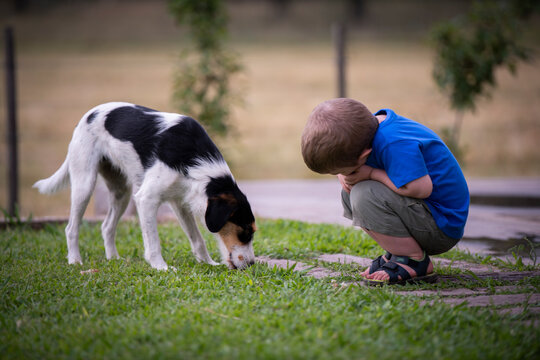 Niño rubio juntando con perro en el parque
