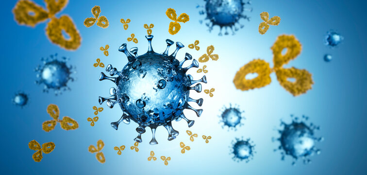 Corona Virus with Antibodies - Immune system