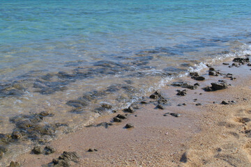 Fototapeta na wymiar Sandy beach and corals on the Red Sea