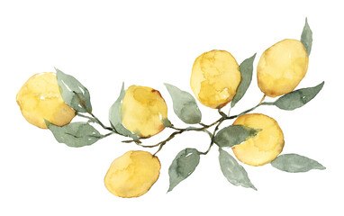 Lemons on branch bouquet frame border isolated on white background watercolor hand painting