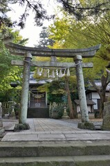 Fototapeta na wymiar 伊豆稲取で有名な神社といえば八幡神社です。境内二つ目の石でできた鳥居は貞享四年（１６８７年）建立です。