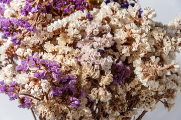 Bouquet of dried purple and blue flowers on white background.