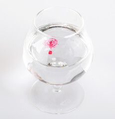 Drops of scarlet paint in a glass of water
