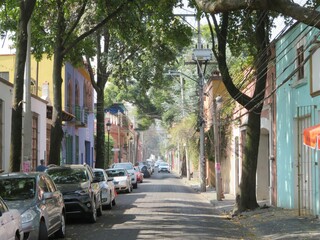 colorful street of Coyoacan, Mexico city