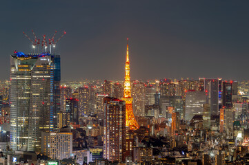 Fototapeta na wymiar 東京都渋谷区にある高層ビルから見た東京の夜の都市景観