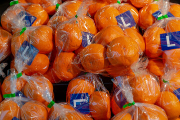 東京都台東区谷中にある商店街の八百屋に売られているたくさんのみかん