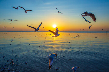 Sunset or evening time with blue sky at sea or ocean with seagull bird flying at Bang poo, Samutprakan, Thailand.