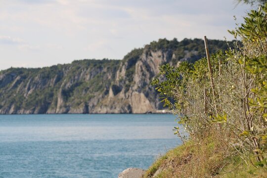 Sistiana Portopiccolo zwischen Triest und Grado in Friaul-Julisch Venetien Italien an der Adria Mittelmeer