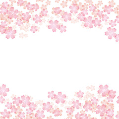 Obraz na płótnie Canvas 桜の背景