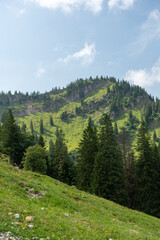 Fototapeta na wymiar Landscape in Allgäu, landscape in the foothills of the Alps; panoramic picture of the Alps