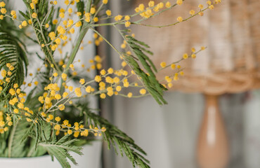 A branch of mimosa in a white vase, a reflection of its branches in a window, a lamp behind a...