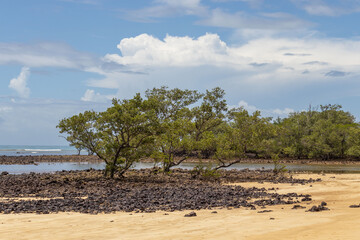 "Praia da Biologia", also known as "Gramuté", located in Aracruz, Espirito Santo, Brazil, is an environmental protection area with mangroves.