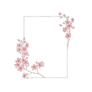 Sakura Cherry blossom hand drawn flower frame vector illustration isolated on white. Vintage Romantic spring floral square frame. Botanical floral arrangement for Happy Easter design.
