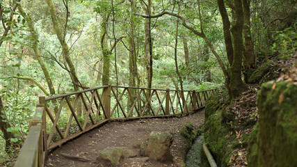 Cascada de Los Tilos, Barranco del Agya, La Palma, Islas Canarias, España