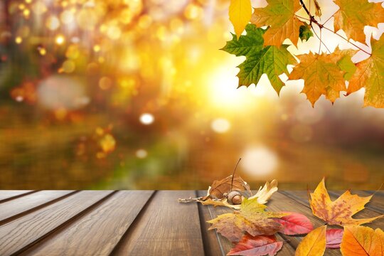 Wooden table with orange leaves autumn and fall background in beautiful nature