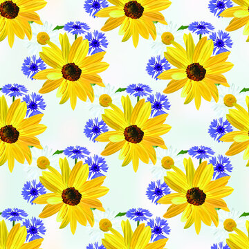 Flowers of sunflower, chamomile, blue cornflower on light blue abstract background, floral seamless pattern, vector.