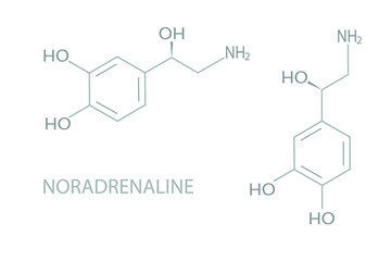 Noradrenaline molecular skeletal chemical formula.	