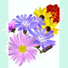 Bouquet of marigold flowers, blue wildflowers, sunflower, lilac daisies, floral pattern, vector