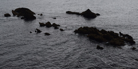 Fondo de mar con piedras y rocas.
