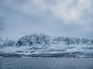 Orca watching in northern Norway above the arctic circle in Winter