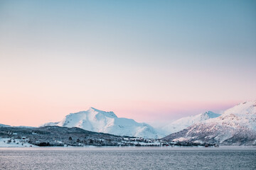 Orca watching in northern Norway above the arctic circle in Winter