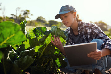 You're looking nice and strong. Cropped shot of an attractive young female farmer using a tablet...