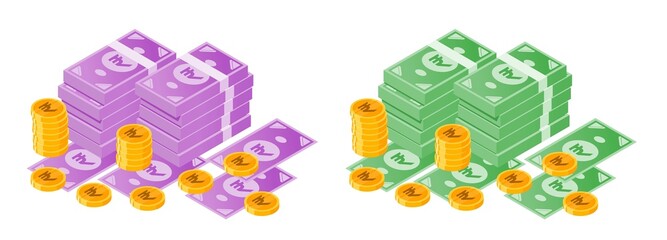 Indian Rupee Money Bundle and Coins