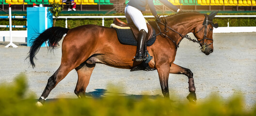 Rider and horse in jumping show. Beautiful girl on sorrel horse in jumping show, equestrian sports....
