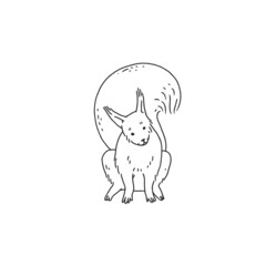 black white squirrel. Cartoon outline sketch illustration of cute animal character.