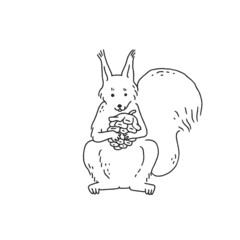 Fototapeta na wymiar squirrel with fir cone. Cartoon outline black white sketch illustration of cute animal character.
