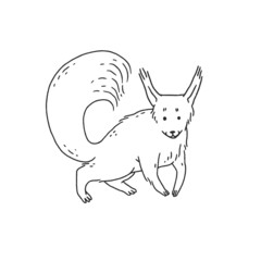 cute squirrel. Cartoon outline black white illustration of animal character.