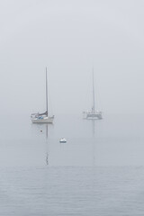 Sailboats in fog, newport rhode island