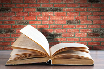 Opened book against a brick wall