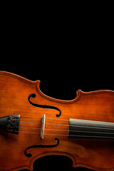 violin on black background