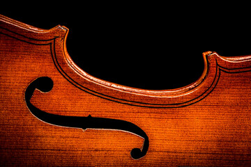 violin on black background