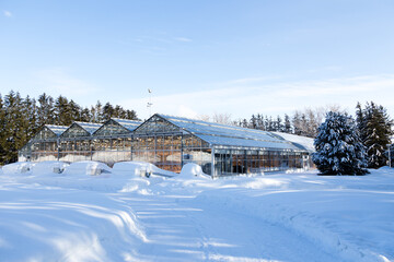 Naklejka premium Large heated greenhouses seen during a cold sunny winter morning, Sainte-Foy sector, Quebec City, Quebec, Canada