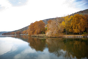 autumn landscape with lake
