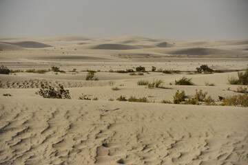 Fototapeta na wymiar Hazy afternoon on the sand dunes near the town of Fiambalá, Catamarca, Argentina