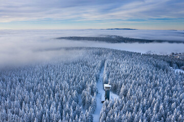 Stille und Nebel über dem Winterwald - obrazy, fototapety, plakaty