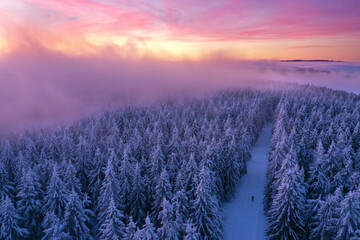 magischer Winterwald