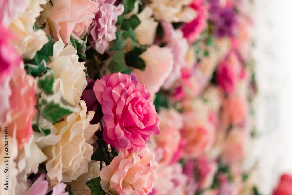 Wall mural Beautiful summer flowers as a background. Festive background of blooming flowers, pastel and soft floral background.