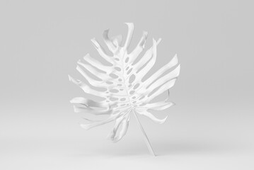 Tropical jungle Monstera leaves on white background. Paper minimal concept. 3D render.